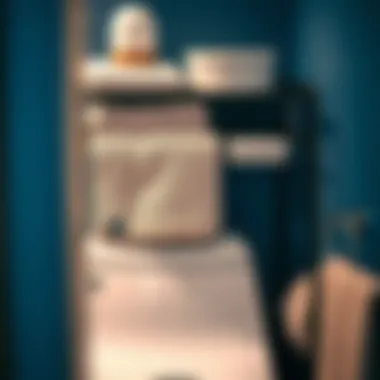 Magnificent Over Toilet Storage Solutions for Towels