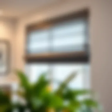 Magnificent Plastic Valance Clips for Vertical Blinds: Comprehensive Guide