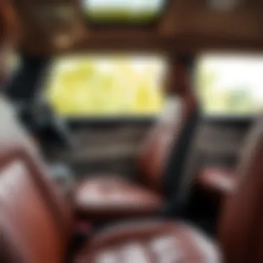 Magnificent The Comprehensive Guide to Leather Seat Pads