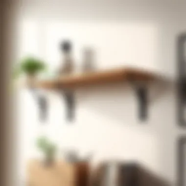 An In-Depth Examination of Basic Shelf Brackets Introduction