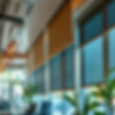 Bali dual solar shades installed in a commercial space, emphasizing functionality and aesthetics.