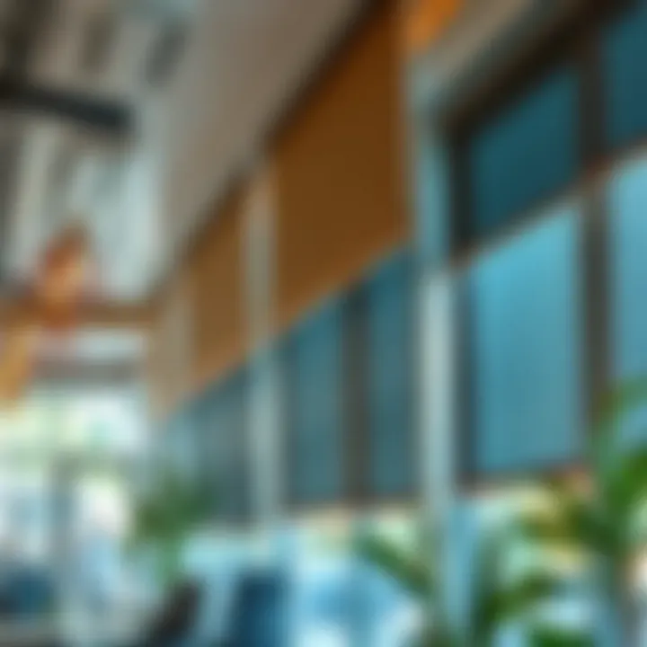 Bali dual solar shades installed in a commercial space, emphasizing functionality and aesthetics.