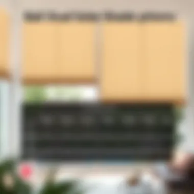 A comparison chart of different Bali dual solar shade options, aiding in selection.