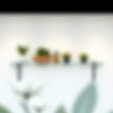 Minimalist Display of Clear Ledge Shelf Minimalist clear ledge shelf displaying plants and decor