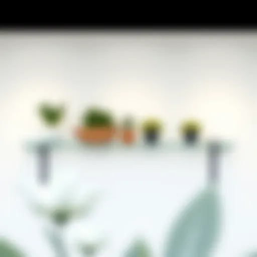 Minimalist Display of Clear Ledge Shelf Minimalist clear ledge shelf displaying plants and decor