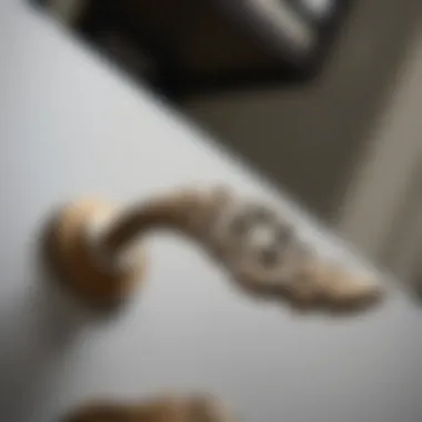 Elegant close-up of a Liberty Hardware bar pull showcasing its intricate design