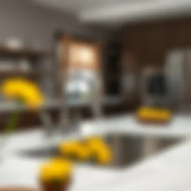 Essential Maintenance Tips for Longevity Maintenance tips for stainless steel sinks