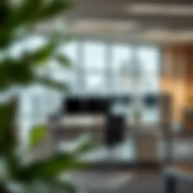 Customizable office desk designs for diverse work styles