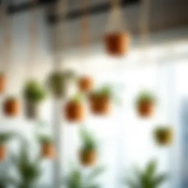 Stylish hanging plant pots displayed in a modern setting