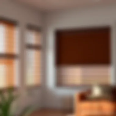 Diverse Styles of 58.5 Inch Blinds Different styles of 58.5 inch blinds showcasing various designs and colors