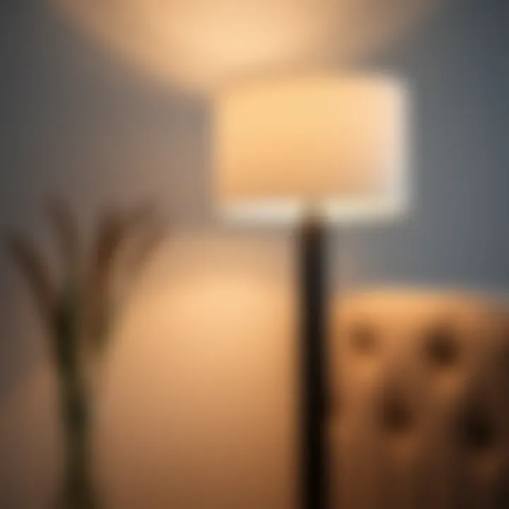Close-up of a minimalist lamp showcasing elegant design