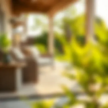 Maintenance tips for outdoor carpet care and longevity