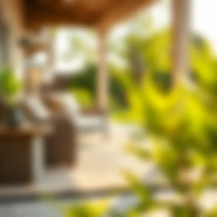 Maintenance tips for outdoor carpet care and longevity