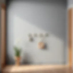 Stylish wall hook rack in a modern entryway