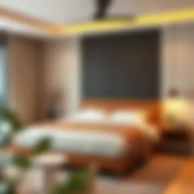 Contemporary wooden king size bed frame in a cozy bedroom