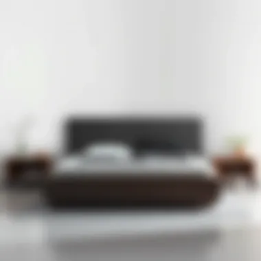 Minimalist king size bed frame with built-in storage