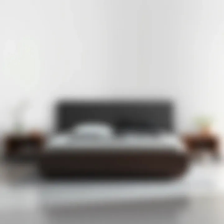 Minimalist king size bed frame with built-in storage