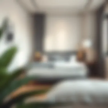 Stylish king size bed frame in a compact bedroom