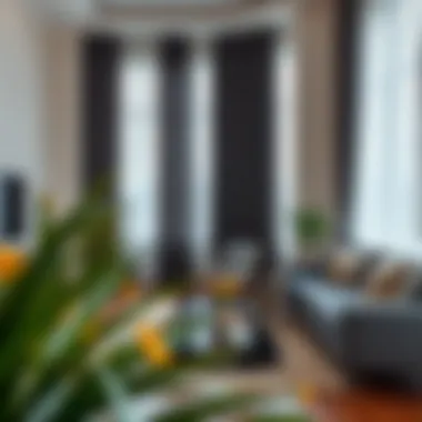 Luxurious living room adorned with elegant blackout curtains