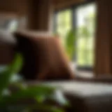 Luxurious Dark Brown Seat Cushion Luxurious dark brown seat cushion on a modern chair