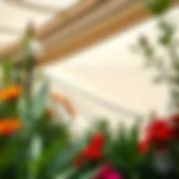 Elegant sun shield casting shade over vibrant garden plants