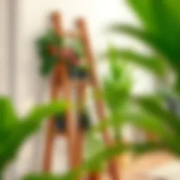 Stunning wooden plant ladder showcasing vibrant greenery