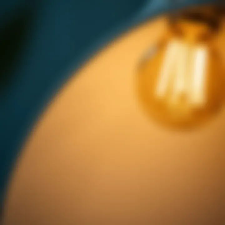 Close-up of a light bulb ring diffuser highlighting its texture