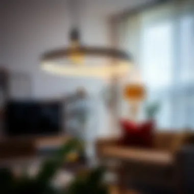 Stylish installation of light bulb ring diffuser in a contemporary setting