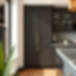 Elegant replacement cabinet doors showcasing modern design