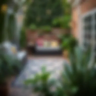 Outdoor Space with a Well-Maintained Rug Surrounded by Nature An outdoor space featuring a well-maintained rug with plants around