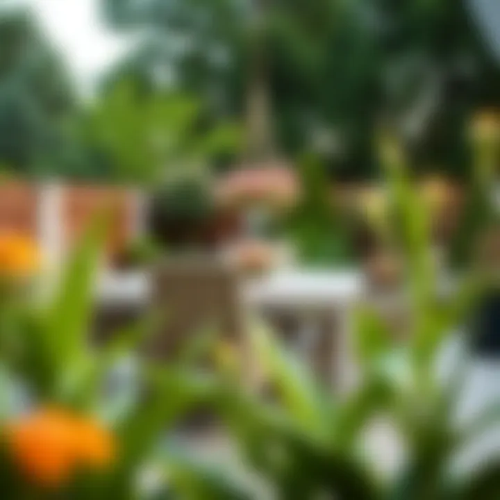 Elegant outdoor dining set set against a lush garden backdrop