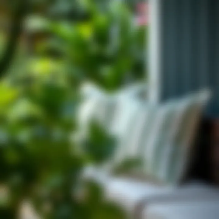 Exploring Project 62 Outdoor Pillows: A Comprehensive Guide Summary