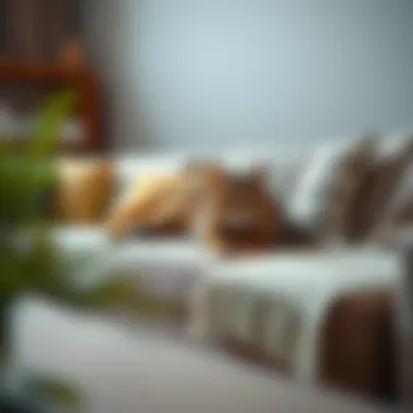 Variety of sectional cover materials showcasing durability and style