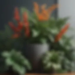 A vibrant array of silk plants showcasing various types and sizes.