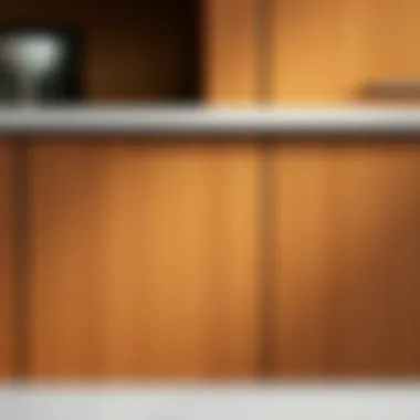 Close-up of textured tan cabinet finish showcasing detail