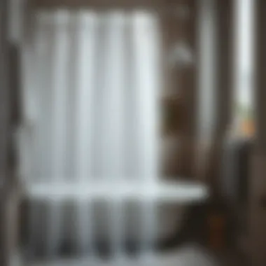 Exploring the Grey Plastic Shower Curtain: A Comprehensive Guide Summary