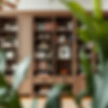 Organized Wide Bookcase Arrangement Organized wide bookcase with a balanced mix of books and decorative elements