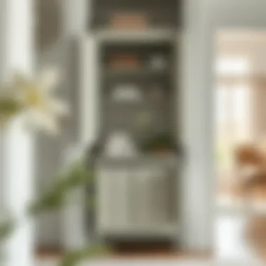 Notable Exploring the Tall Linen Cabinet with Tilt-Out Hamper: An Essential Guide Notable Exploring the Tall Linen Cabinet with Tilt-Out Hamper: An Essential Guide