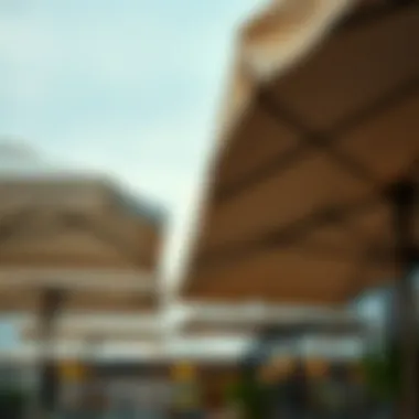 A variety of canvas umbrella canopies in a commercial setting