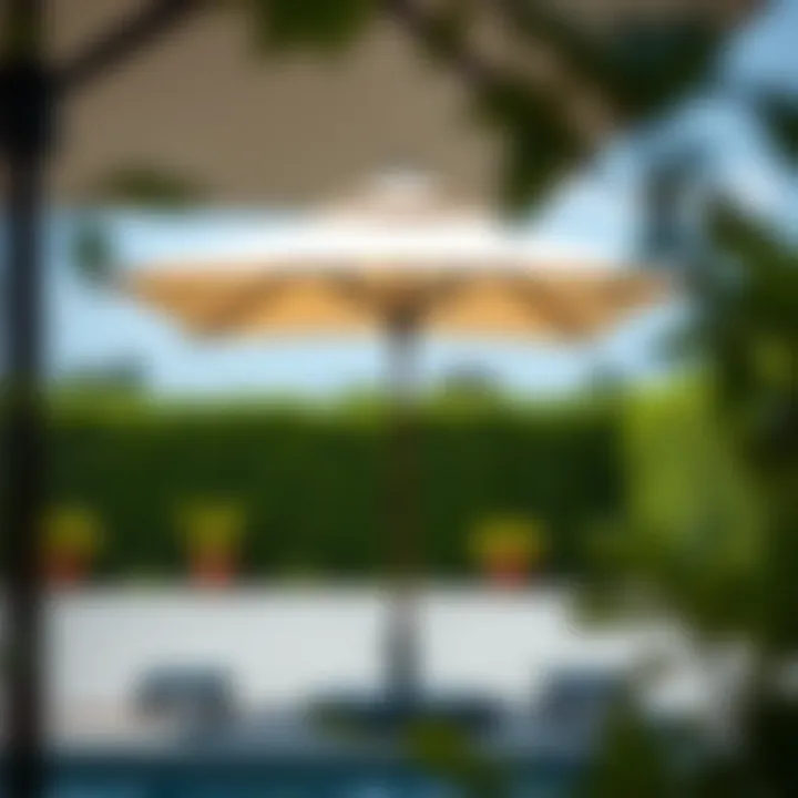 Maintenance tips for canvas umbrella canopies displayed visually