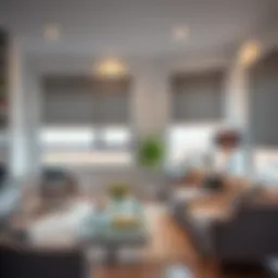 Elegant roller shades in a modern living room setting