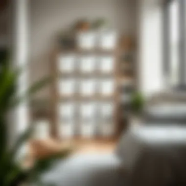 Trofast storage bins organized in a minimalist adult space