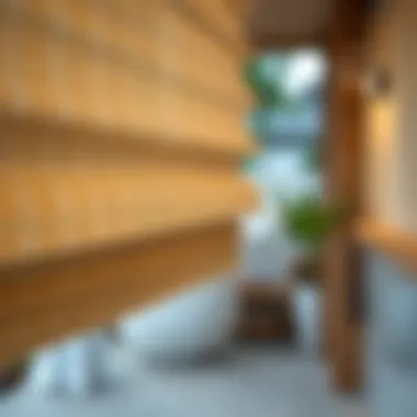 Craftsmanship of White Bamboo Blinds Close-up of white bamboo texture showcasing craftsmanship