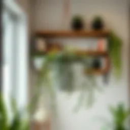 Elegant indoor hanger pot with trailing plants