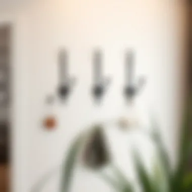 A contemporary wall with metal hooks integrated into a modern decor