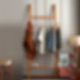 Creative ladder design for clothes hanging