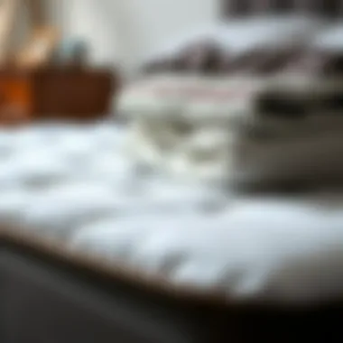 Close-up showcasing the materials used in mattress protectors