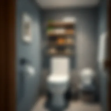 Bathroom showcasing organized essentials on a toilet rack