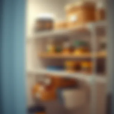 Functional under shelf wire rack used in pantry for versatile storage