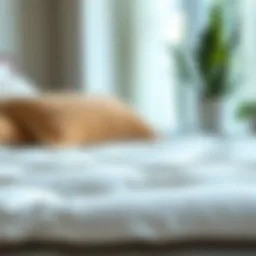 Close-up view of a plush pillow top mattress topper showcasing its luxurious texture.